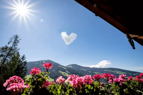 04_landhaus-alpbach_bildergalerie
