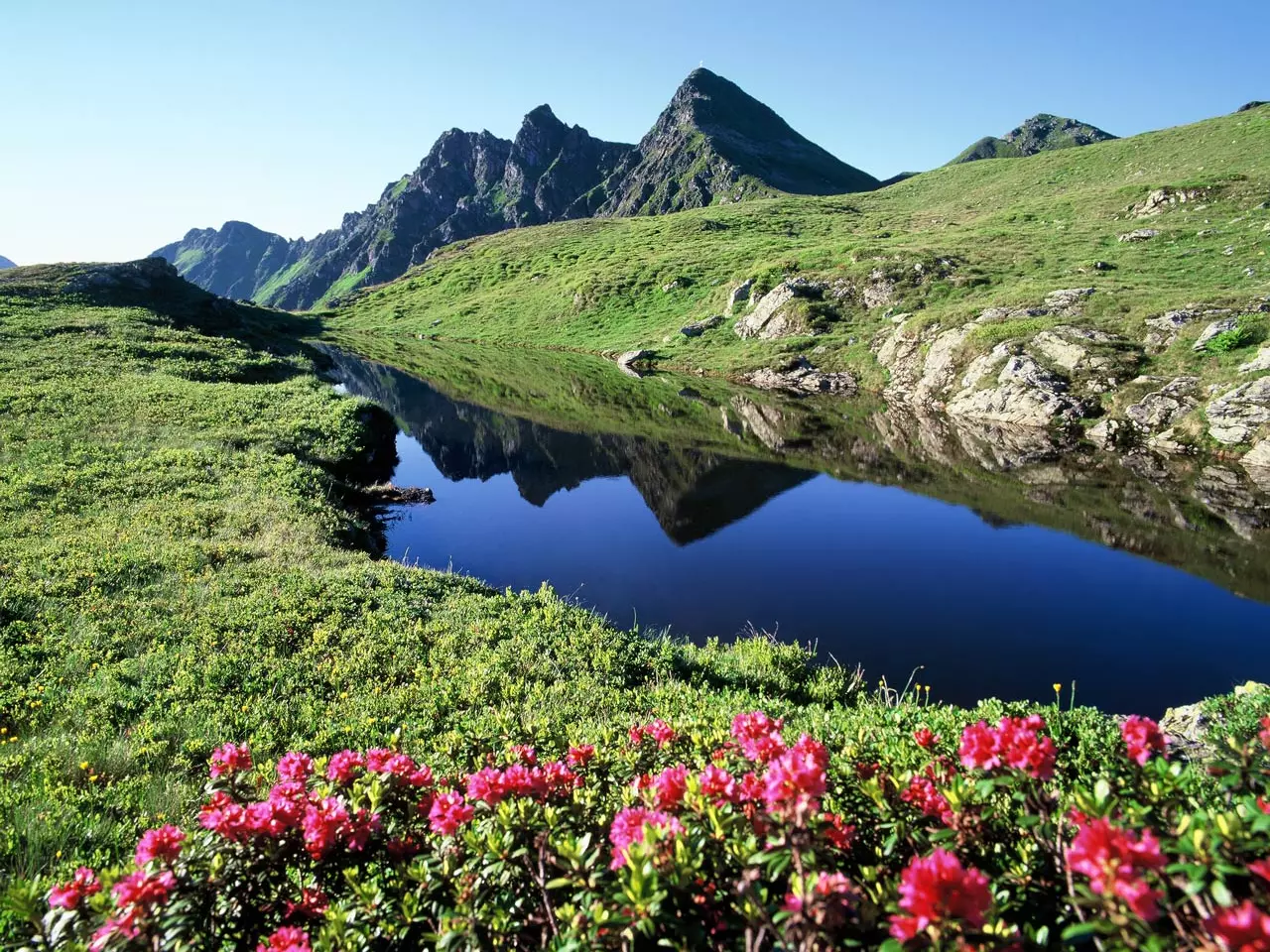 landhaus-alpbach_seenland-card_sommer