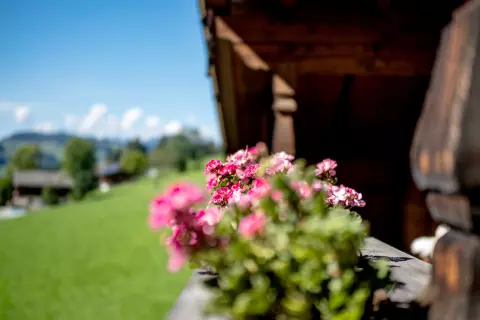 06_landhaus-alpbach_bildergalerie